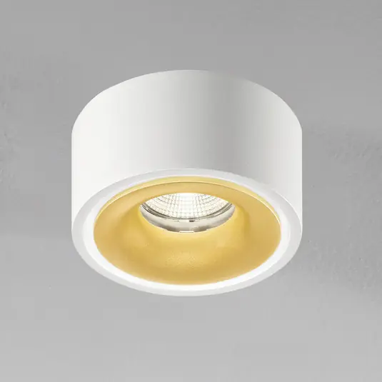 Direttamente Dal Produttore Egger DLS Faretto LED Clippo EP, bianco-oro, 2.700K