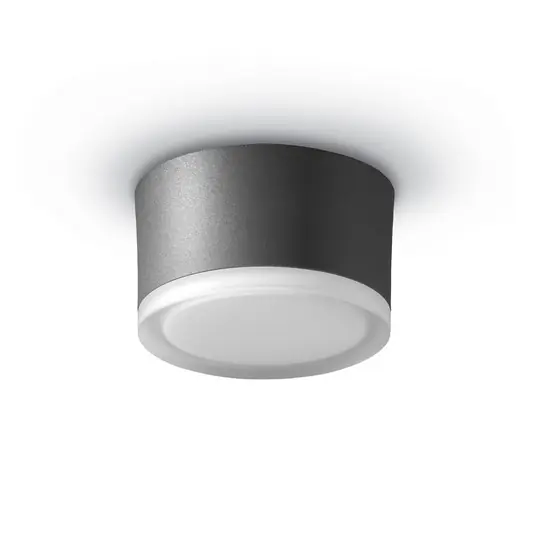 Offerta Lampo Plafoniera LED 1420 per esterni, grafite Ø 13 cm