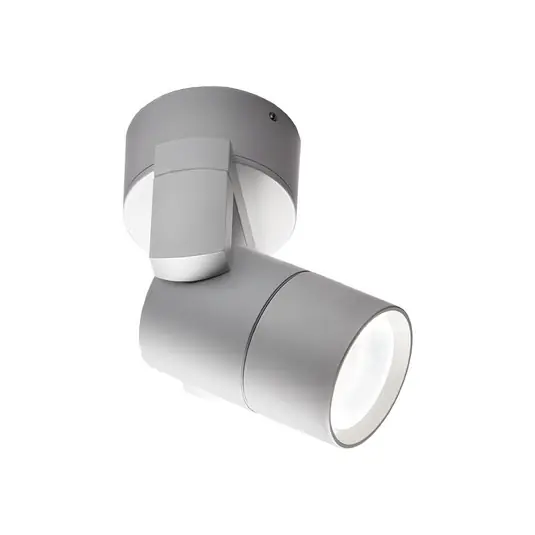 Offerta Speciale Faretto da esterni Skiros, IP55, grigio