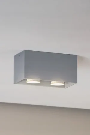 Consegna Rapida Plafoniera Ara Maxi in alluminio a 2 luci grigio