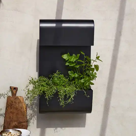 PR Home Planta applique da esterno con vaso Affare