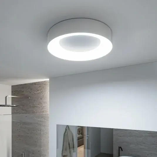 Promozione Esclusiva Paulmann HomeSpa Casca plafoniera LED Ø40cm, bianco/alluminio, IP44