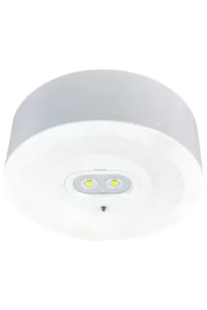 Affare Luce di emergenza a LED Schleswig EA in versione da incasso e da superficie