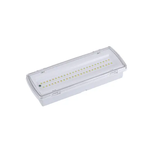 Luce LED per vie di fuga Wasen da incasso a superficie, IP65 4000K Economico