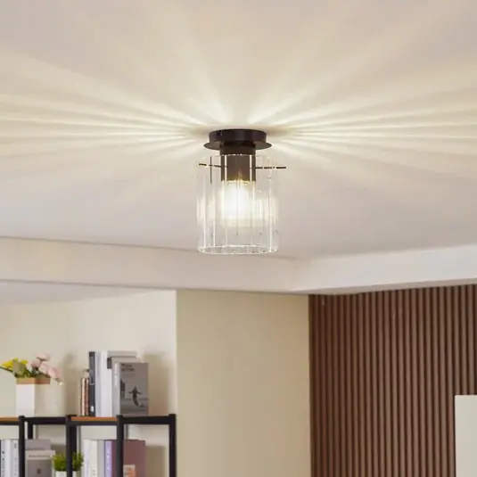 Offerta Lampo Lucande plafoniera Eirian, a 1 luce, nero, vetro, E27