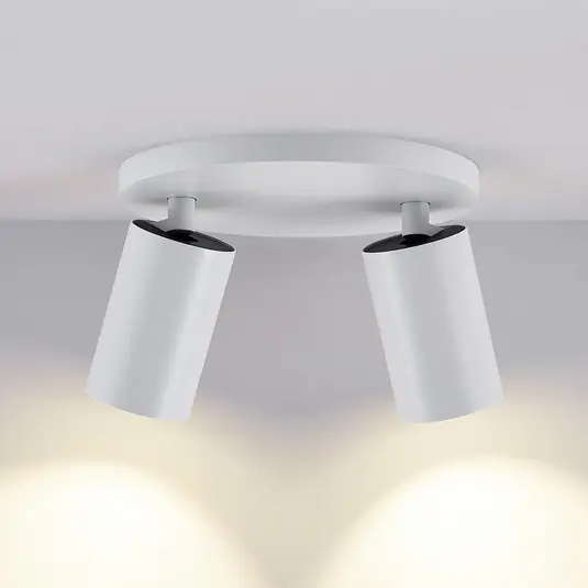 Faretto da soffitto CAN TILT, bianco, Ø 20 cm, a 2 luci, metallo, GU10 Prezzo Di Fabbrica